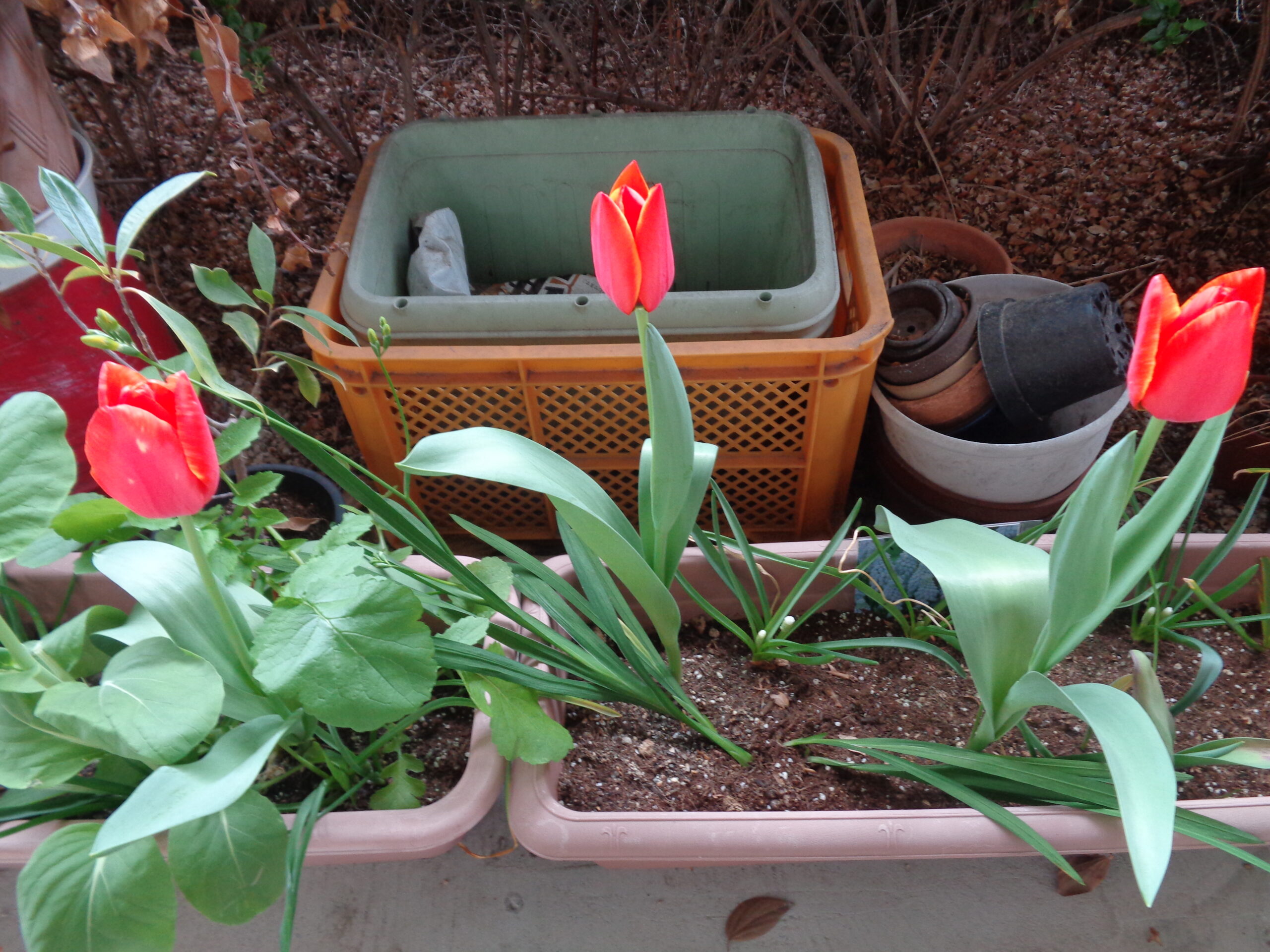 医療法人交正会 笠寺精治寮病院